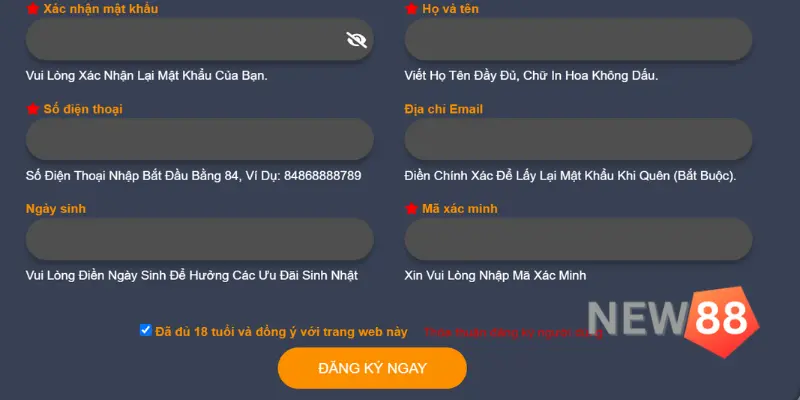 Đăng Ký Một số vấn đề cần lưu ý khi đăng ký New88